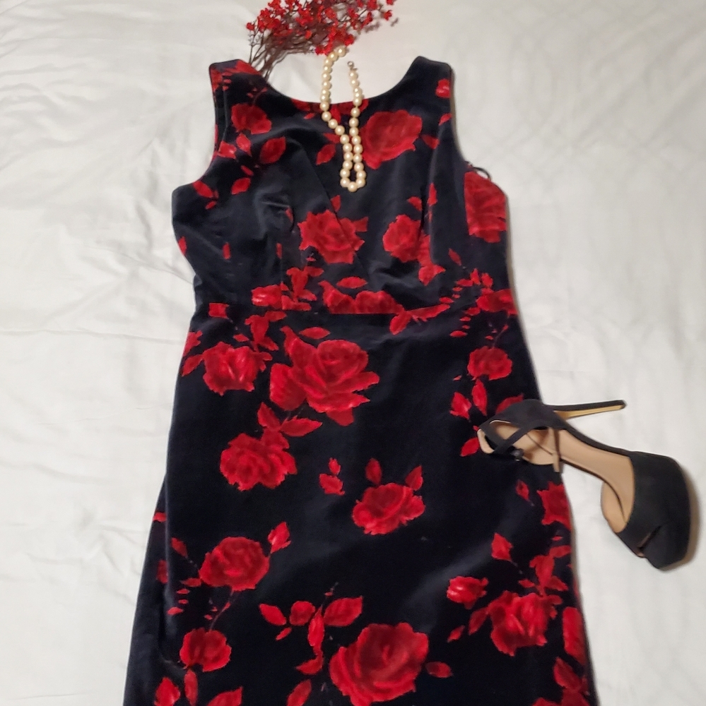 Valvet Dress
